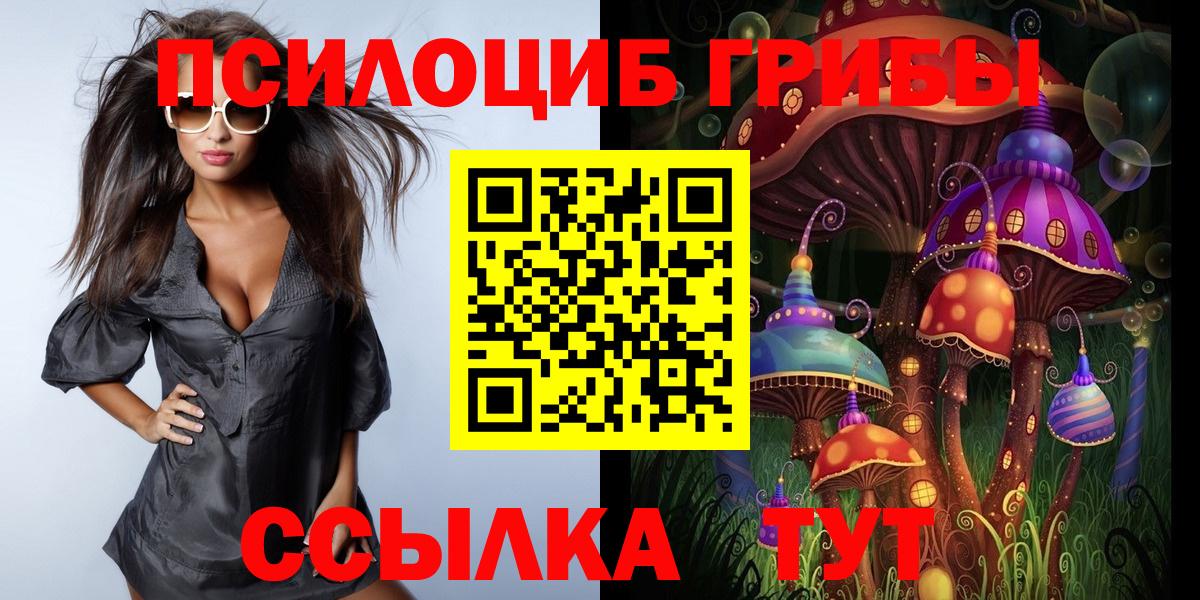 Псилоцибиновые грибы мицелий Биробиджан