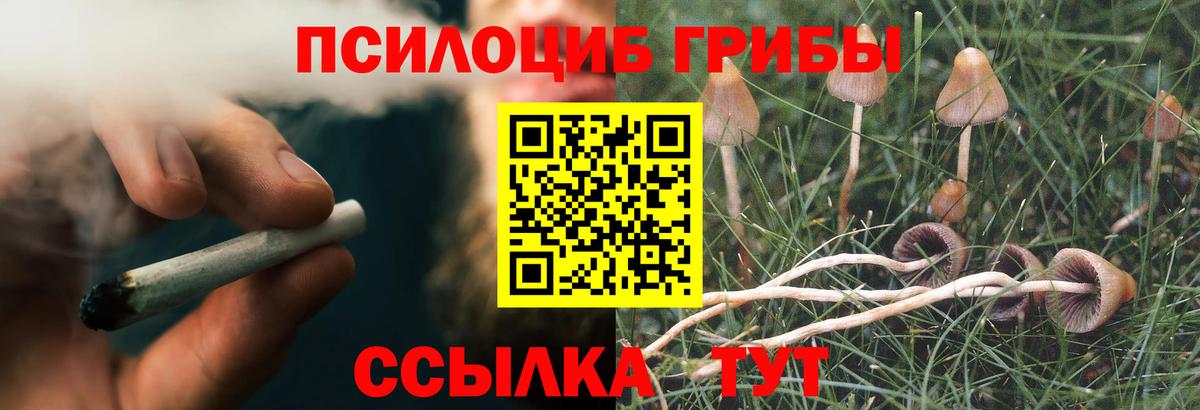 Галлюциногенные грибы мухоморы  Вход с VPN  Галлюциногенные грибы мухоморы  Биробиджан 